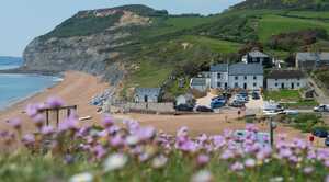 A view of the Anchor Inn, Seatown, from the hill to the east, looking west