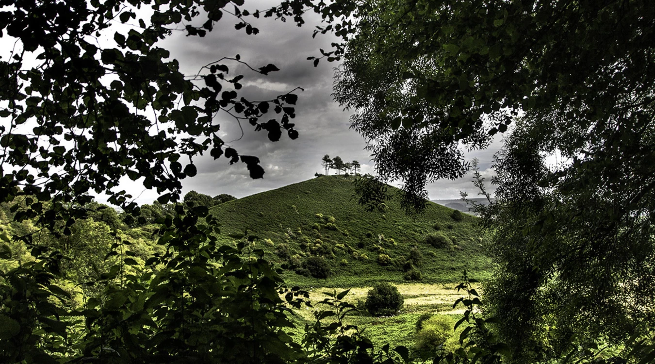 A view of Colmers Hill, looking through trees