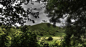 A view of Colmers Hill, looking through trees