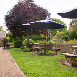 DSC5880