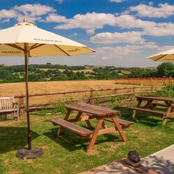 Hare and hounds waytown 2018 (1 of 12).jpg