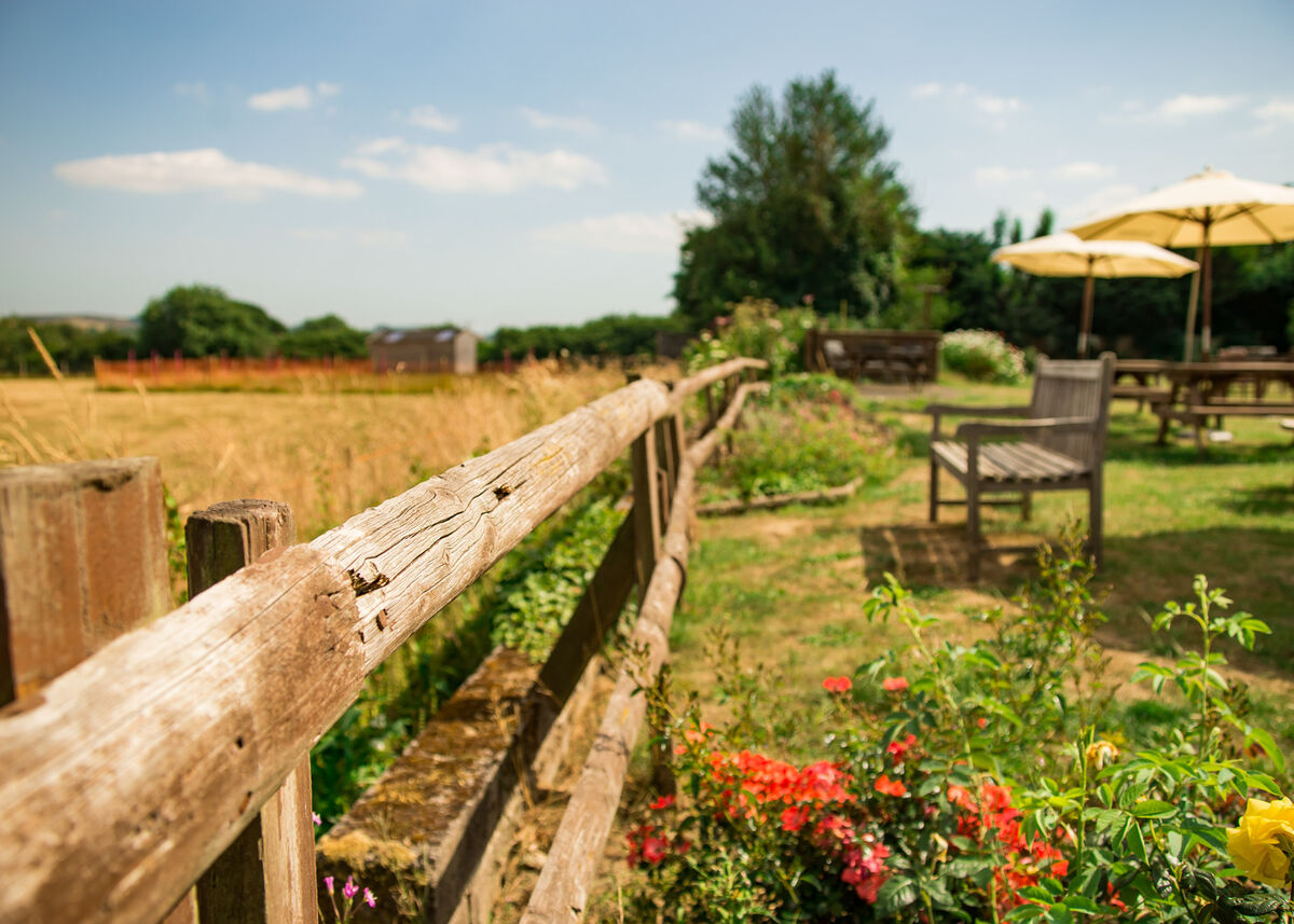 Hare and hounds waytown 2018 (2 of 12).jpg