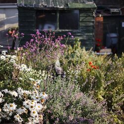 Hare &amp; Hounds4.jpg