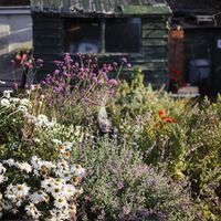 Hare & Hounds4.jpg