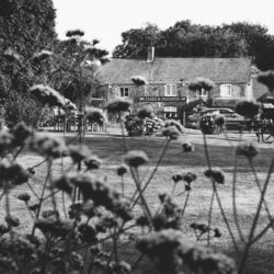 Hare &amp; Hounds5.jpg