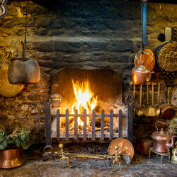 ilchester (5 of 11).jpg